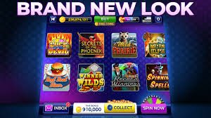 zbet tv