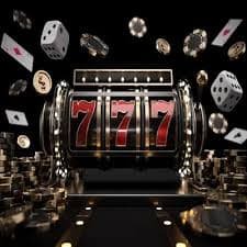 zbet tv